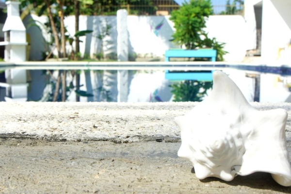 Hotel The Hummingbird (Cabarete)